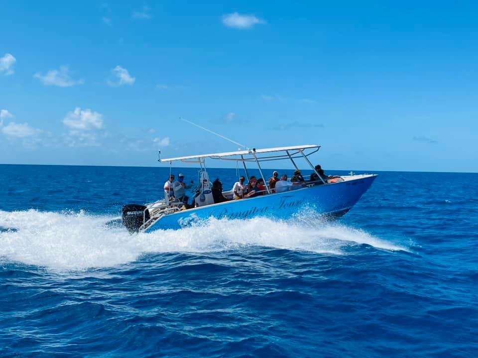 Rangitea Tours excursion Rangiroa
